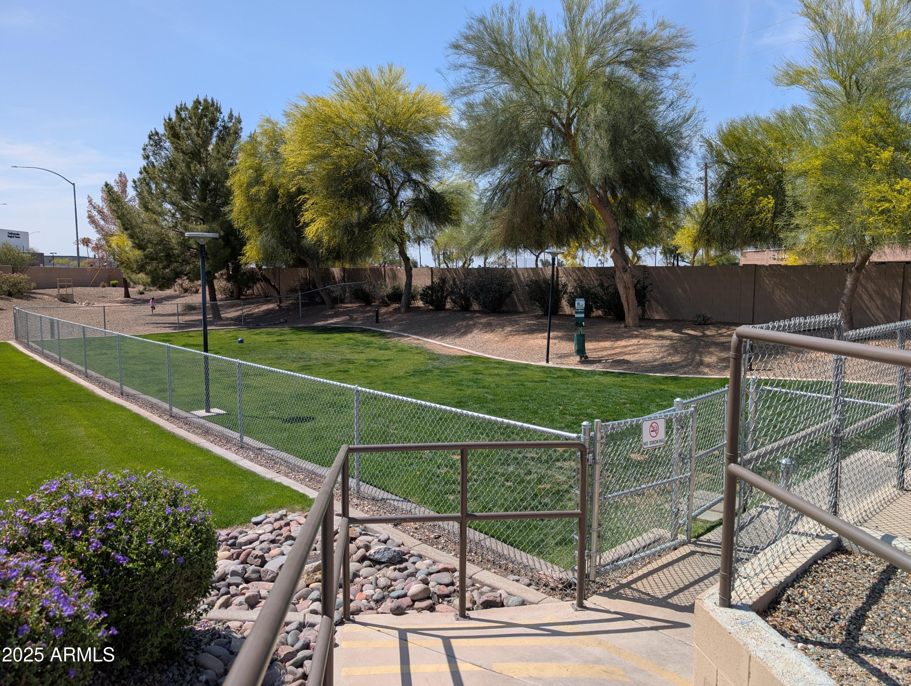 7726 East Baseline Road, Unit 272 Mesa, AZ 85209 - Photo 28 of 30 Dog Run