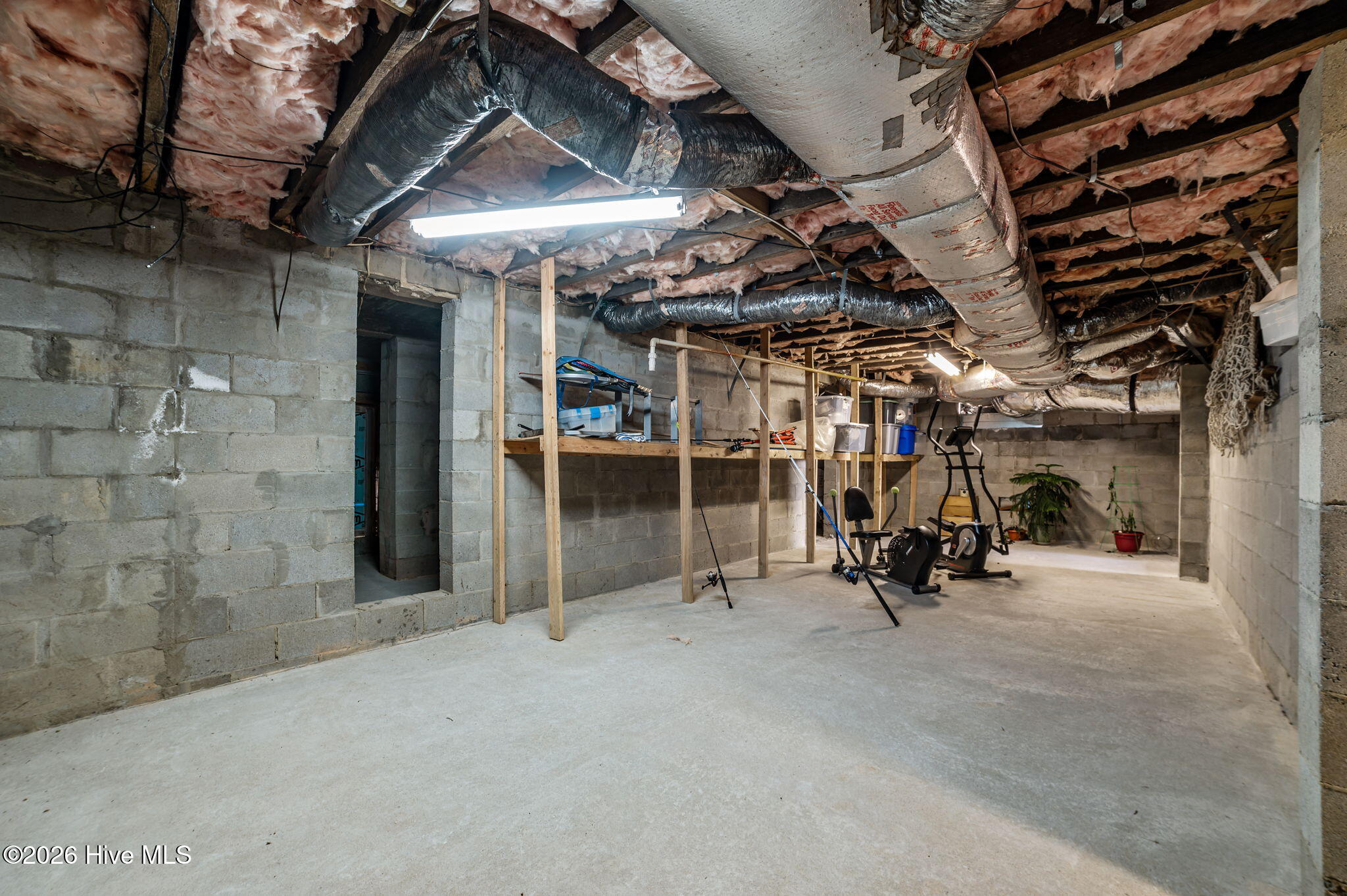 226 Shady Banks Beach Road Washington, NC 27889 - Photo 51 of 56 18-web-or-mls-DSC_8856