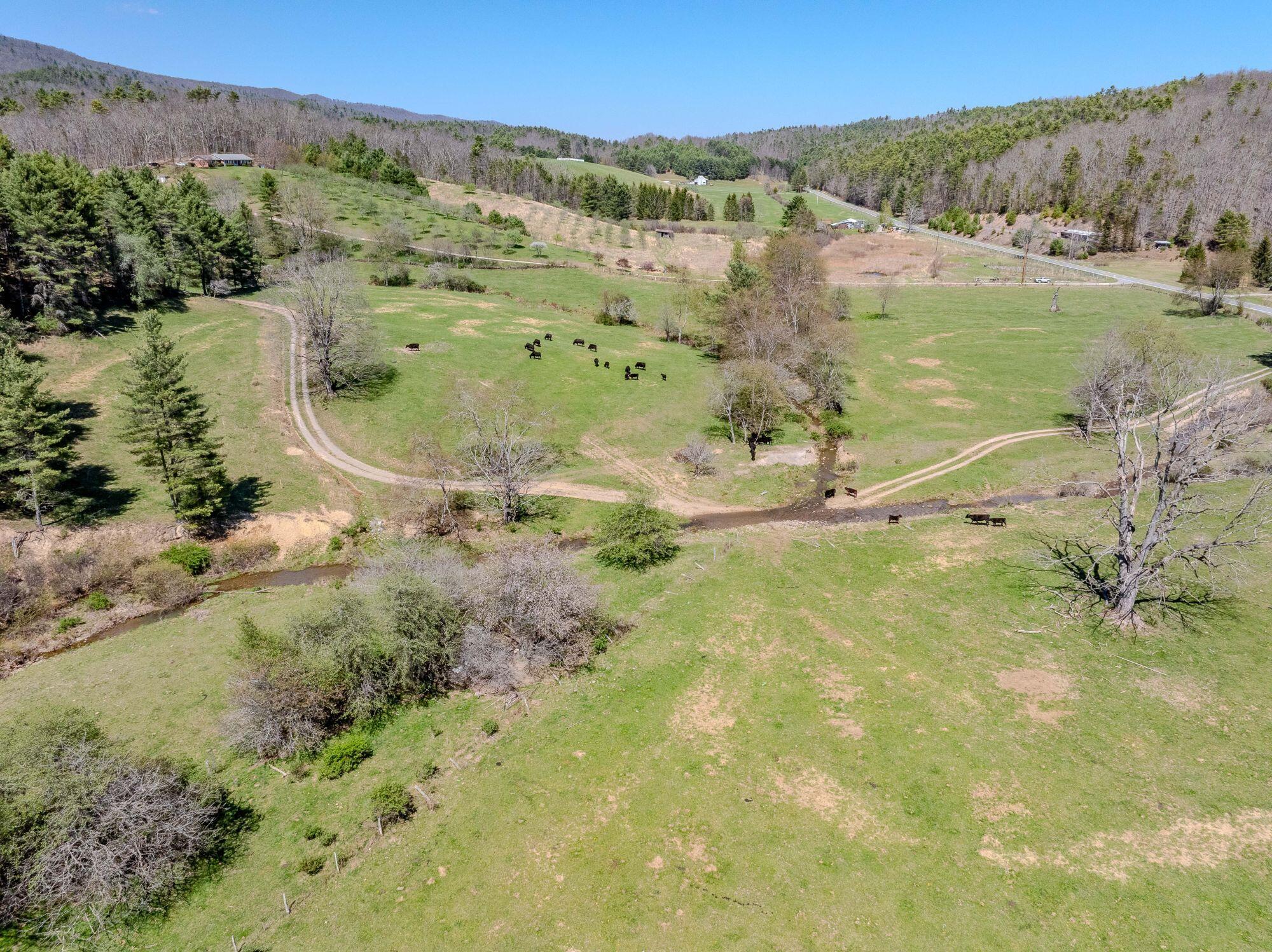 11085 Frost Road Marlinton, WV 24954 - Photo 22 of 64 Gallery Image 22