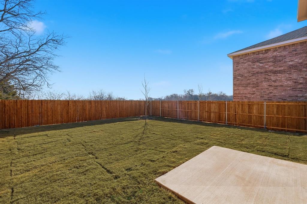 2018 Prairie Lane Melissa, TX 75454 - Photo 35 of 40 a view of a backyard