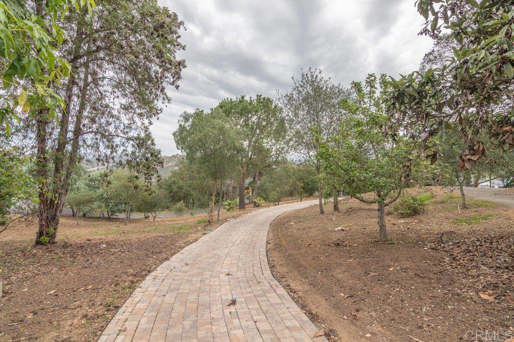 4327 Hollyhill Road Vista, CA 92084 - Photo 3 of 40 Portion of Driveway