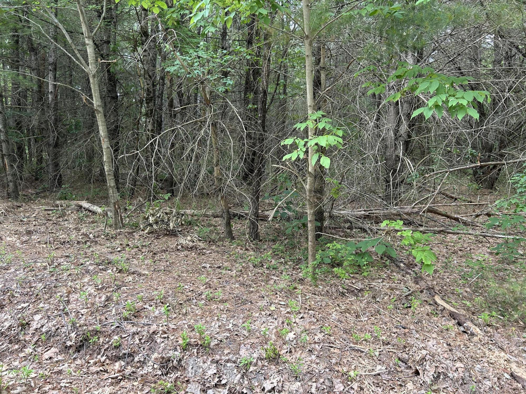 Lot 4-412 Center Street Nobleboro, ME 04555 - Photo 2 of 4 2_snowwoodsfarm