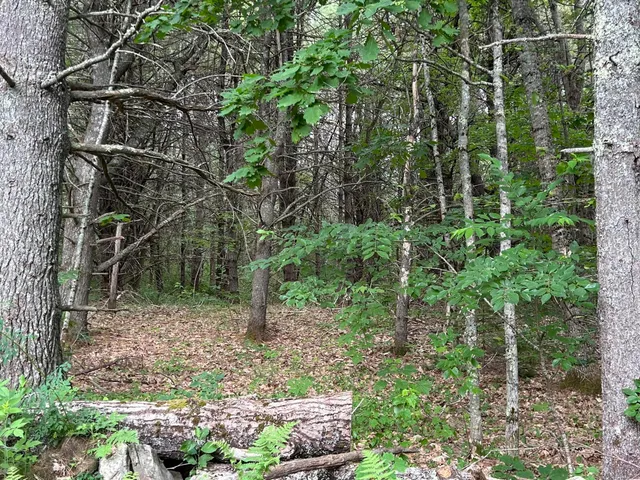 $79,500 | Lot 4-412 Center Street, Nobleboro, ME 04555