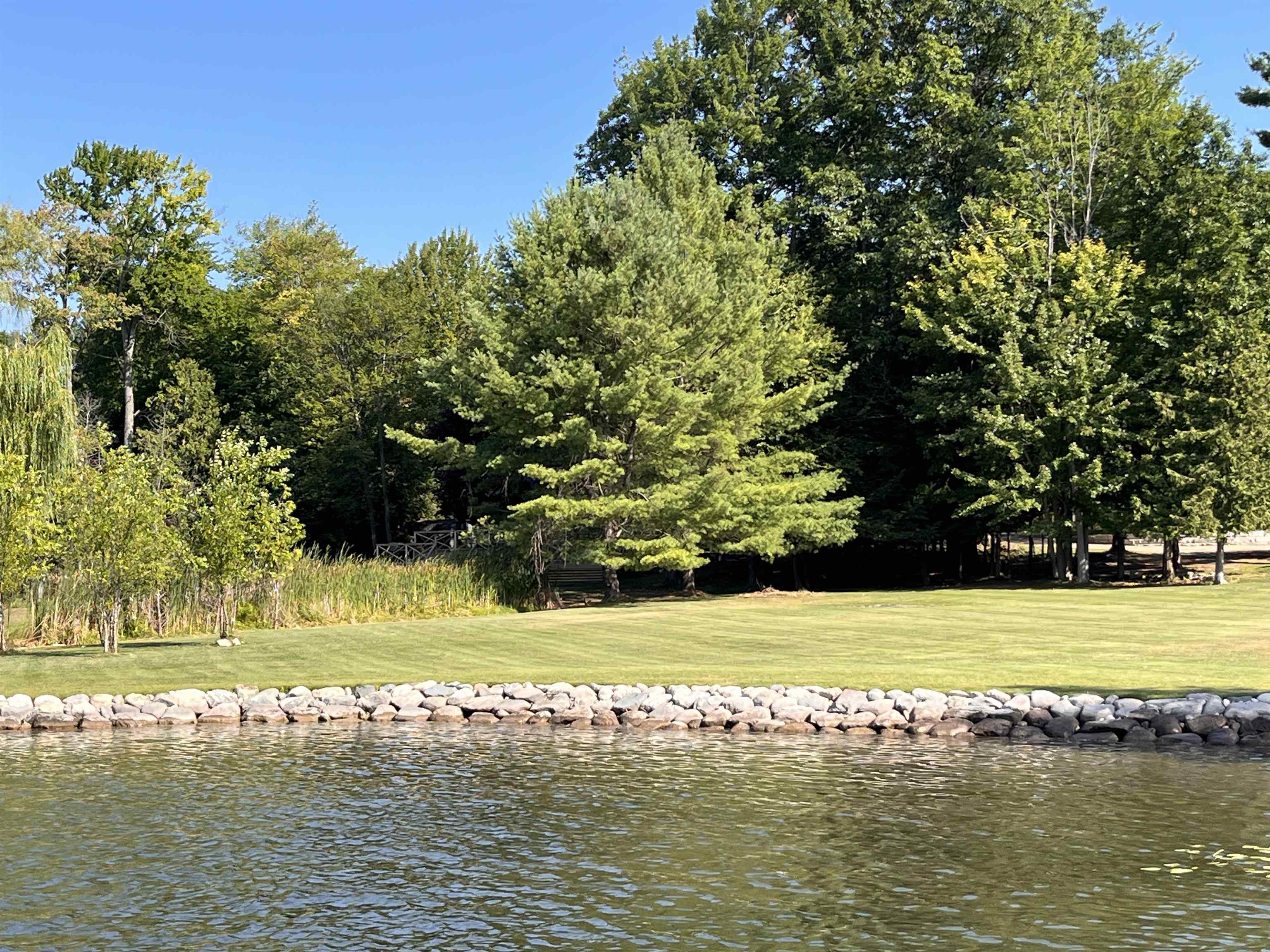 Vl Clam Lake Road Bellaire, MI 49615 - Photo 6 of 14