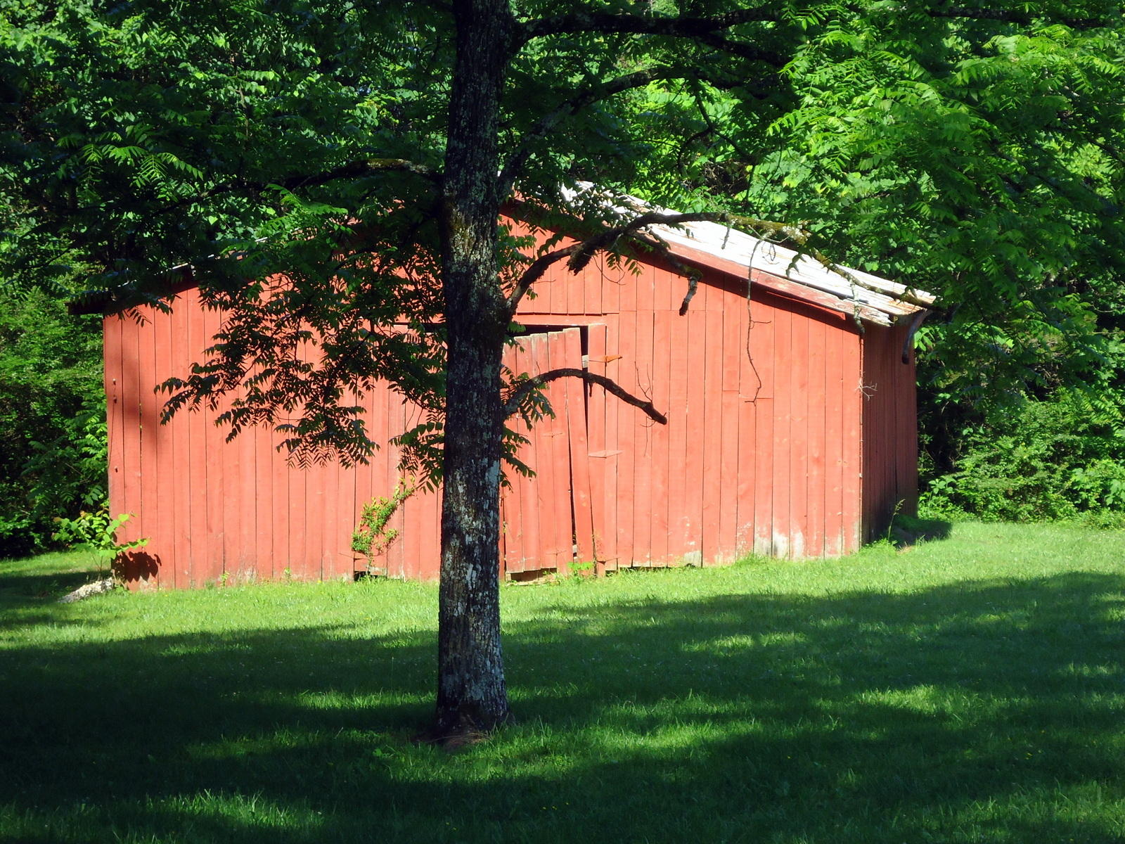 150 Abernathy Road Madisonville, TN 37354 - Photo 9 of 40 09-DSC02625