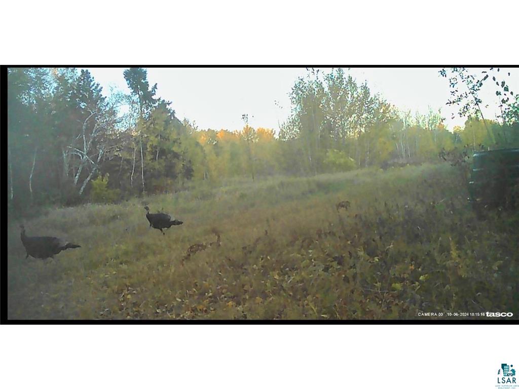 54003 Dollar Lake Road Sandstone, MN 55072 - Photo 27 of 40