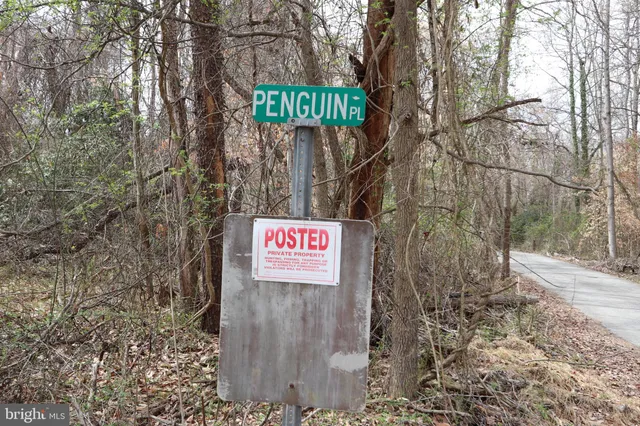 a street sign on a pole
