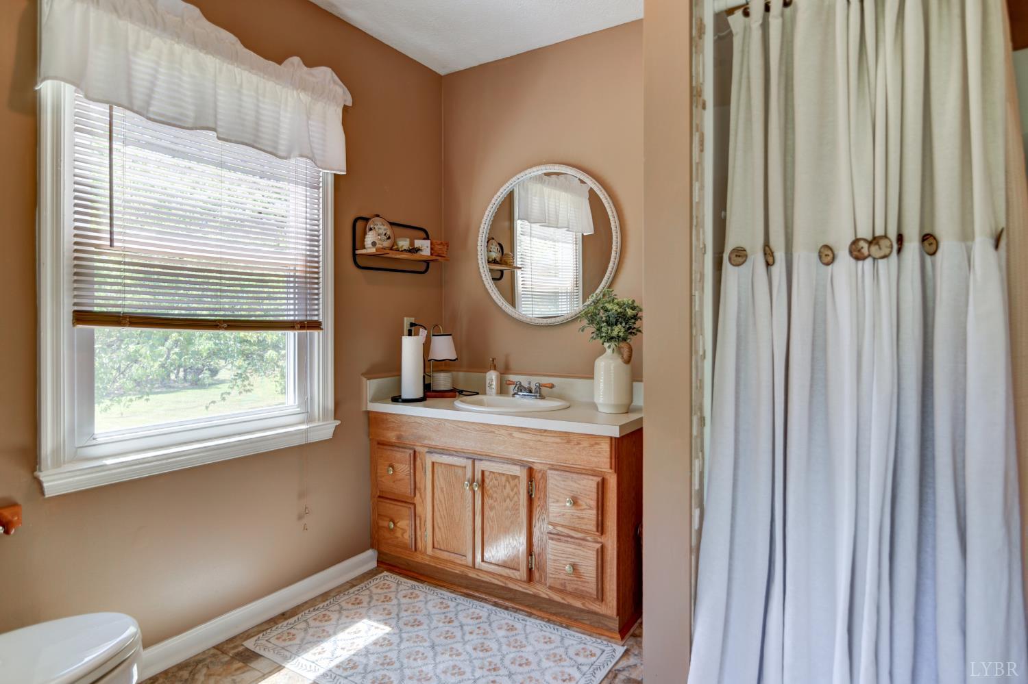 151 Anderson Place Rustburg, VA 24588 - Photo 13 of 57 a bathroom with a sink a toilet and a mirror