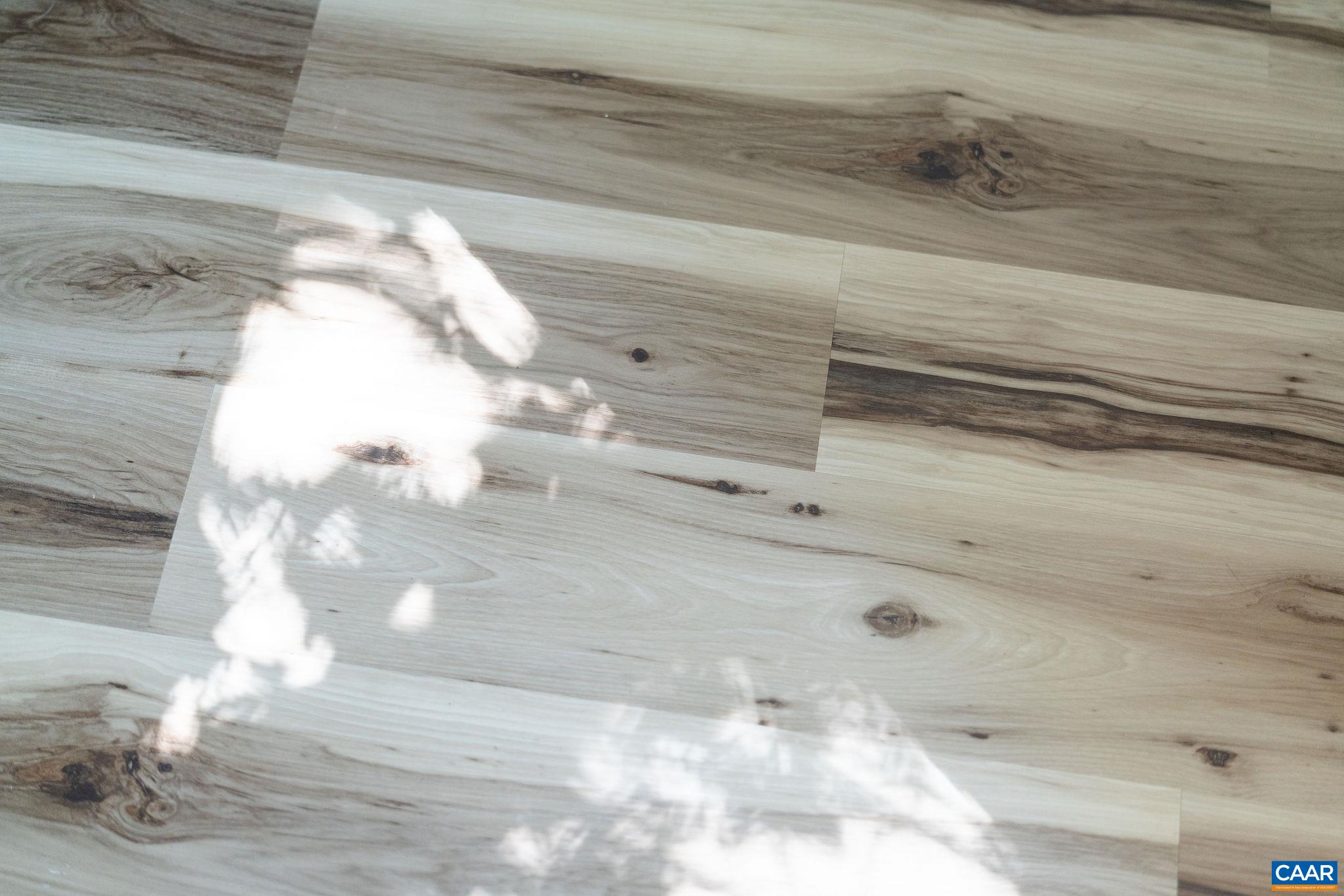 108 Middlesex Drive Charlottesville, VA 22901 - Photo 6 of 44