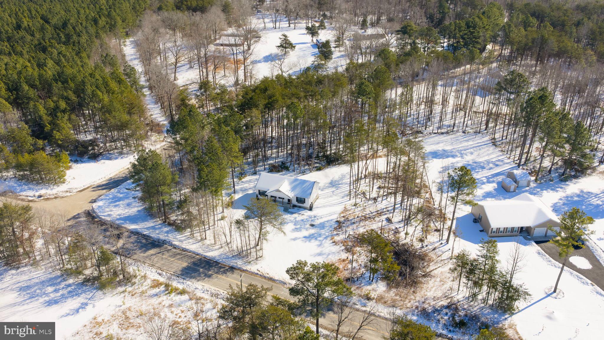 5269 Macedonia Road Woodford, VA 22580 - Photo 29 of 37 a view of yard with green space