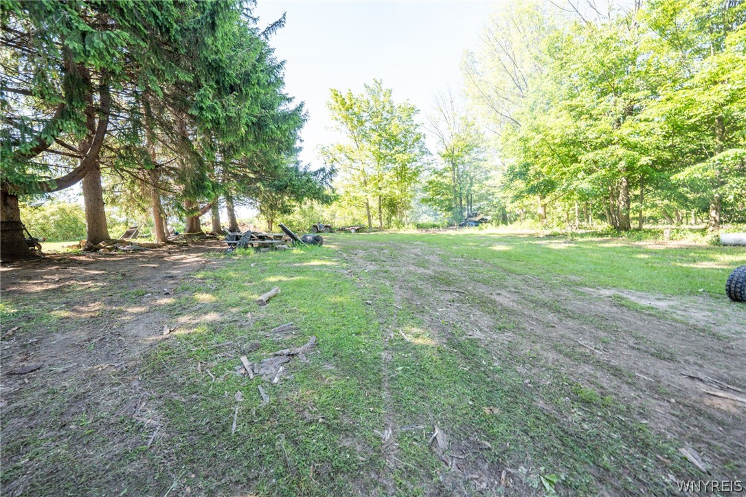 484 Bank Road Middlebury, NY 14054 - Photo 32 of 34
