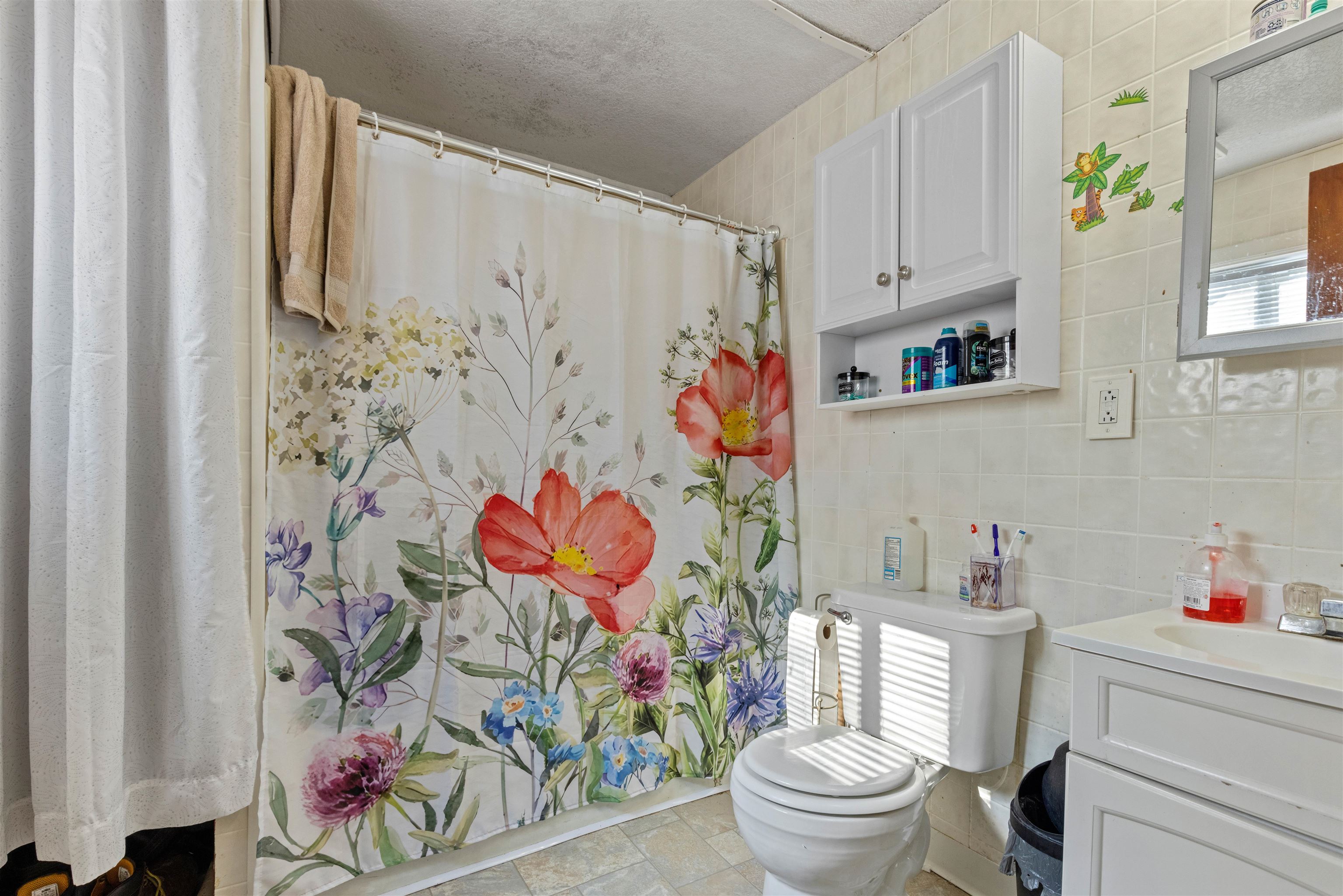 120 5th Street Capron, IL 61012 - Photo 11 of 13 a bathroom with a sink mirror vanity and toilet
