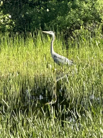 $369,000 | 83 Orono Landing Road, Orono, ME 04473