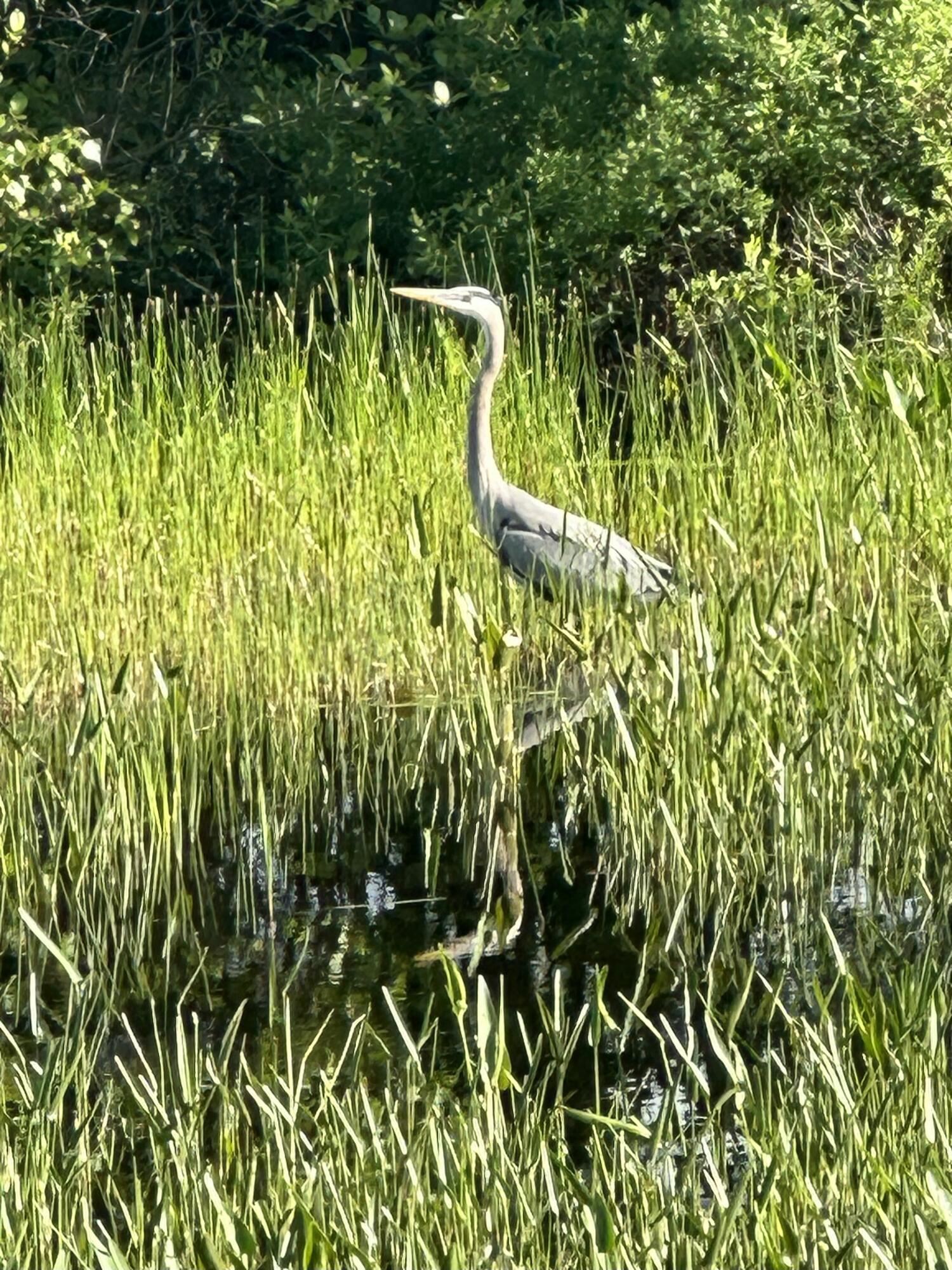 83 Orono Landing Road Orono, ME 04473 - Photo 35 of 41 20240610_113456106_iOS