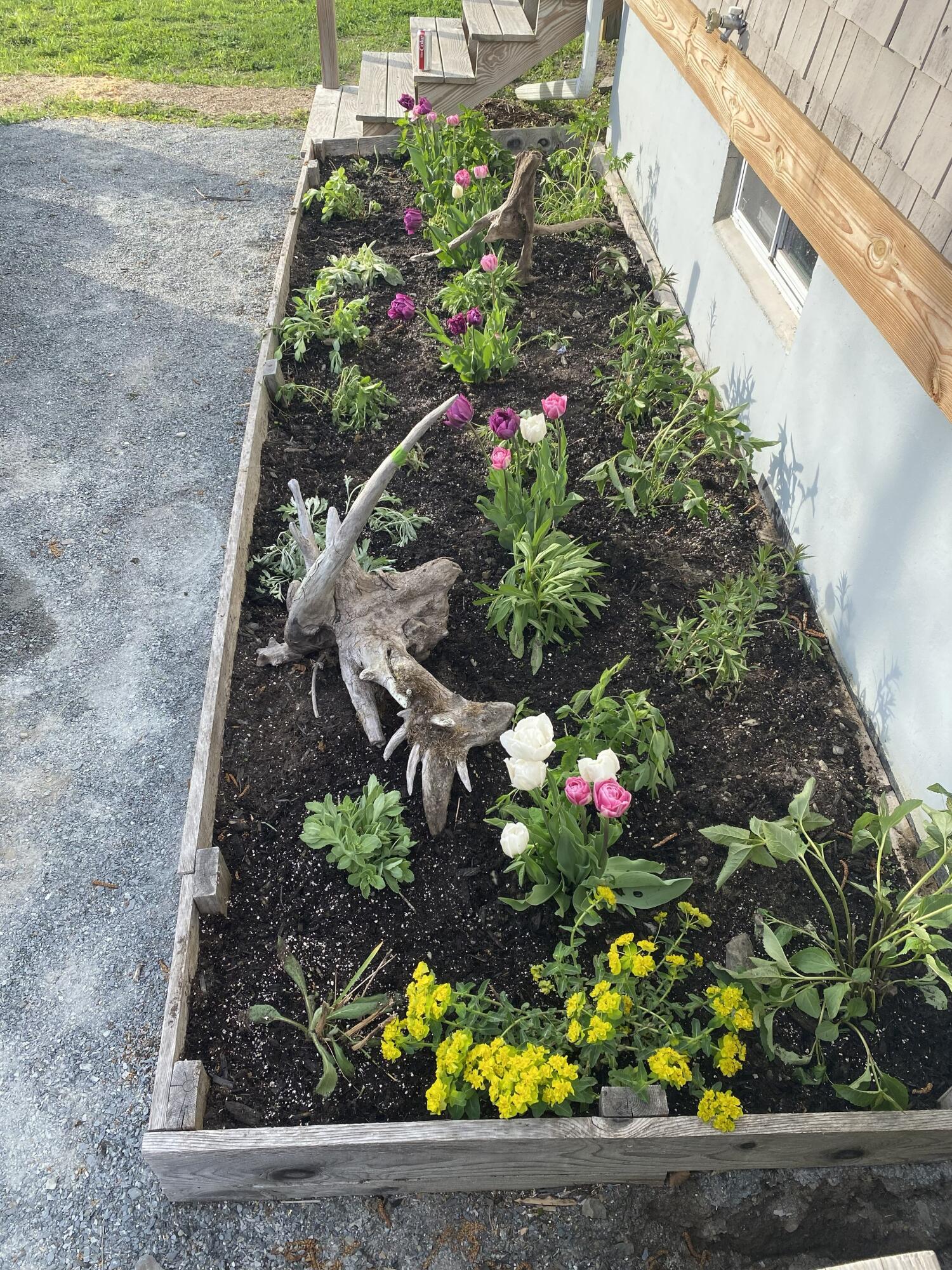 83 Orono Landing Road Orono, ME 04473 - Photo 37 of 41 zz