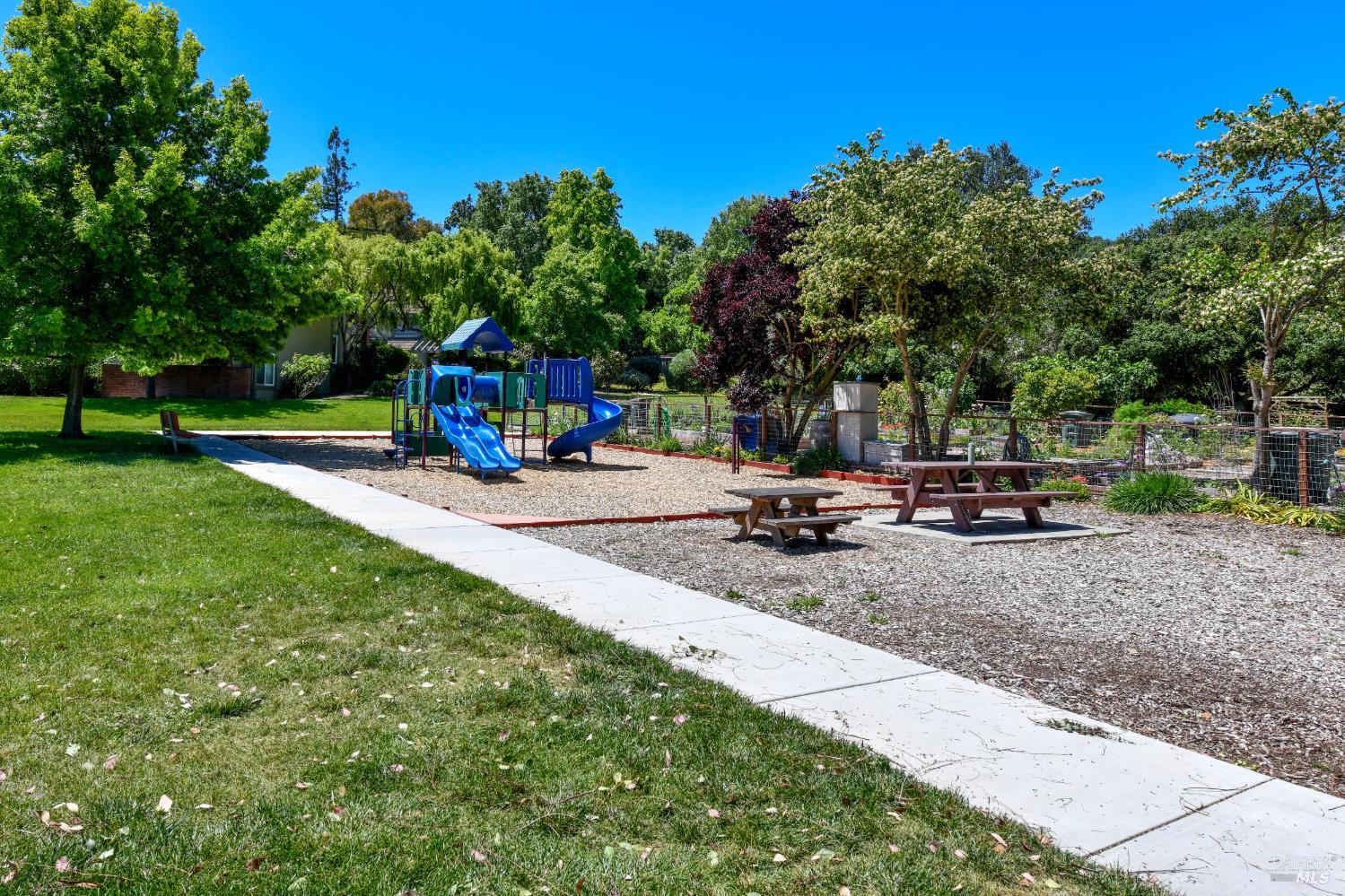 3007 Loma Court Santa Rosa, CA 95405 - Photo 39 of 43 Perfect place to play and picnic