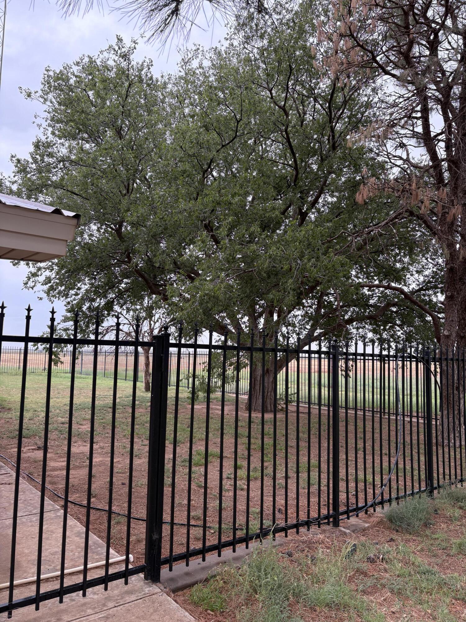 880 Highway 83 Loop, TX 79342 - Photo 31 of 34 Fence