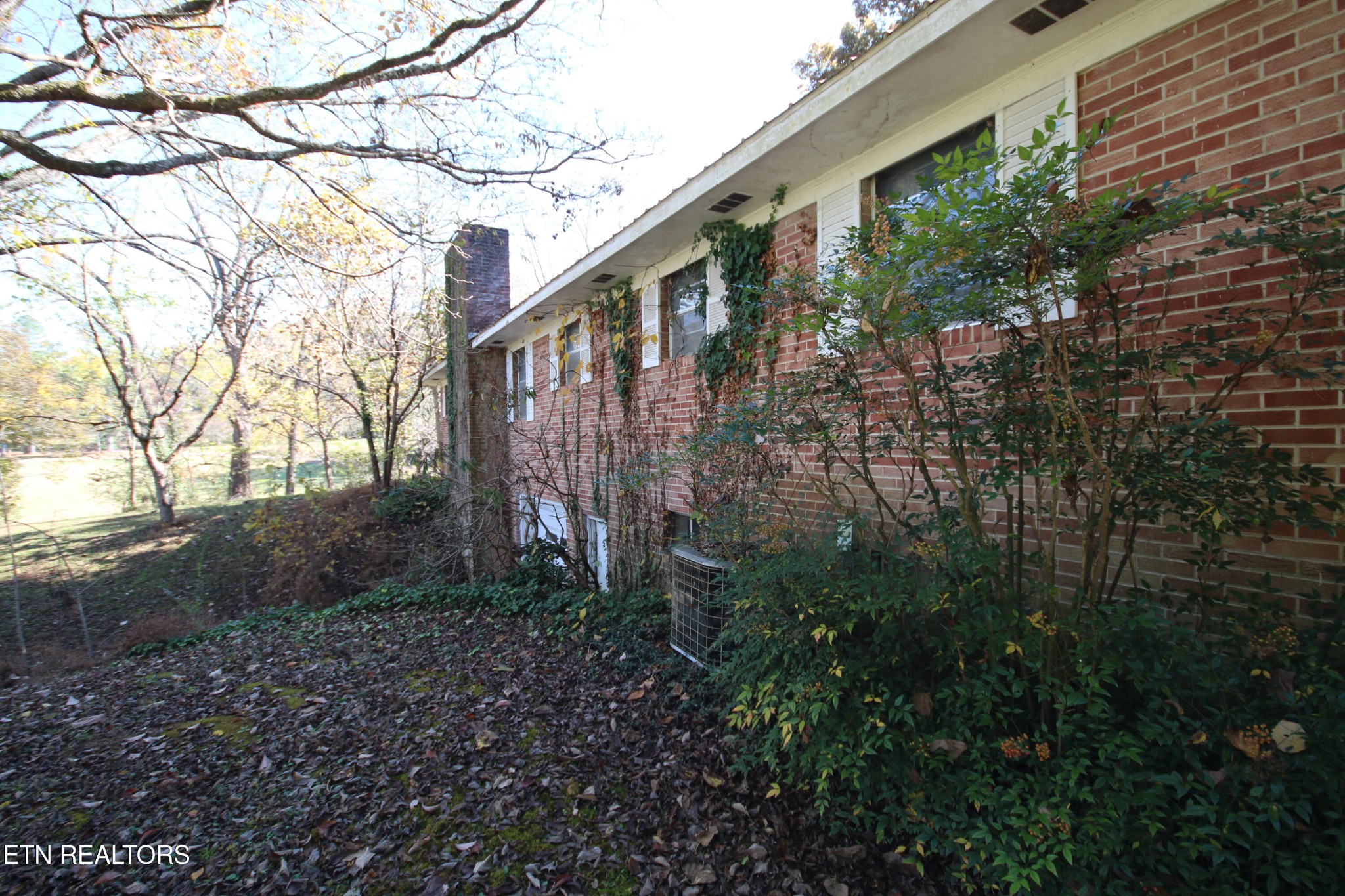 111 Smokey Run Road Tellico Plains, TN 37385 - Photo 6 of 28