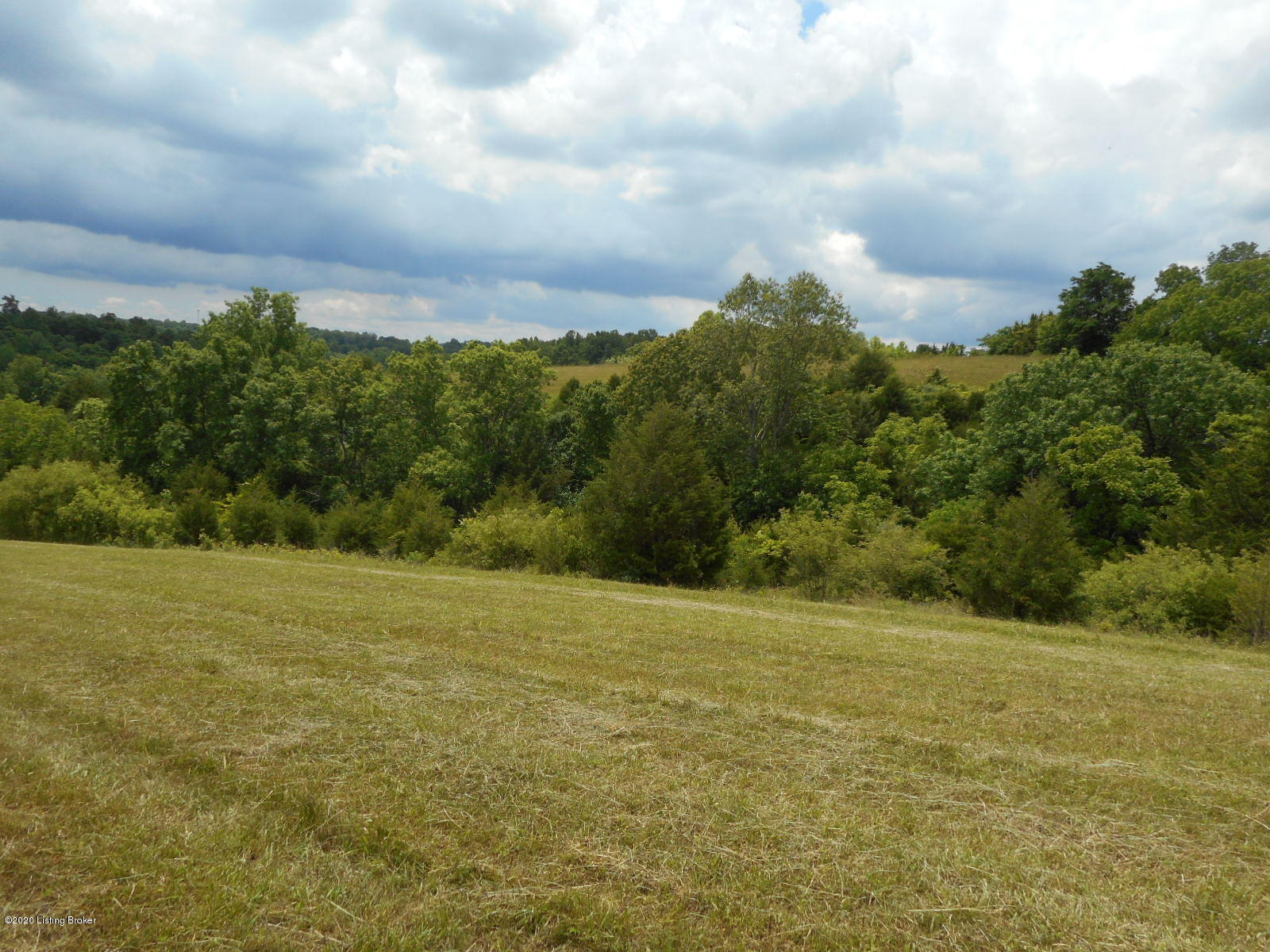 2010 Hickory Ridge Road Mount Eden, KY 40046 - Photo 39 of 65 DSCN3451