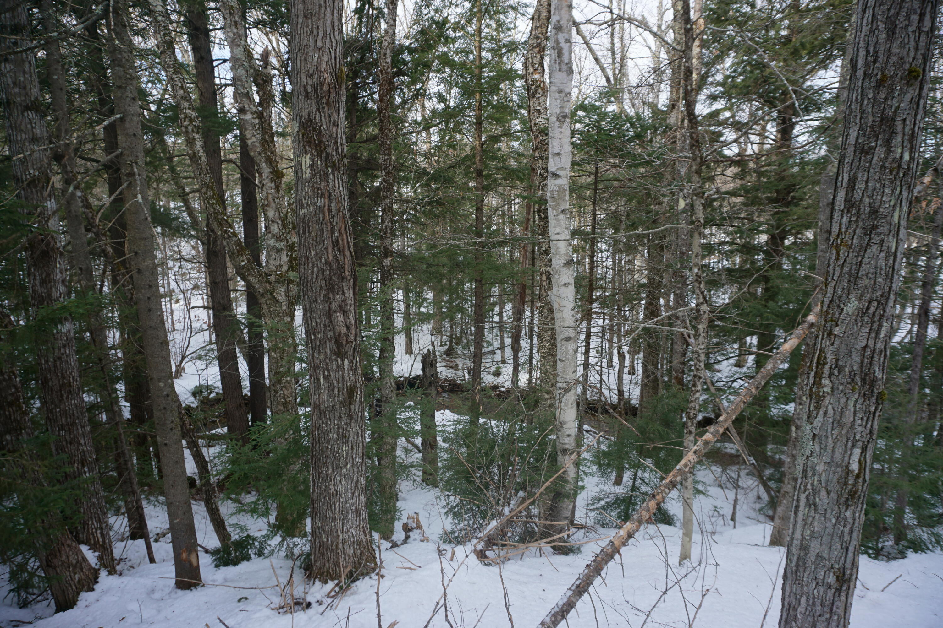 1 Redding Road Sumner, ME 04292 - Photo 14 of 21