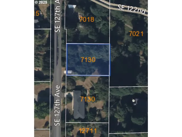 a front view of a house with a yard and a tree