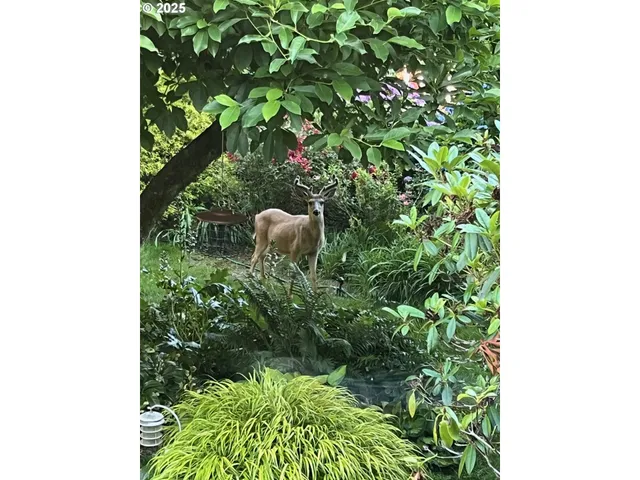 $180,000 | 7130 Southeast 127th North Avenue, Portland, OR 97236