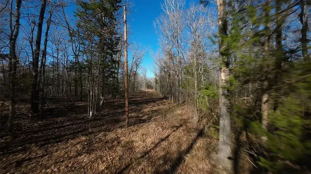a view of a yard with trees