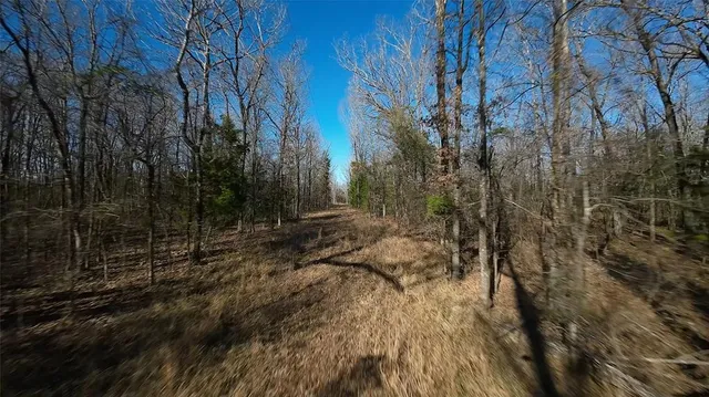 a view of a dry yard