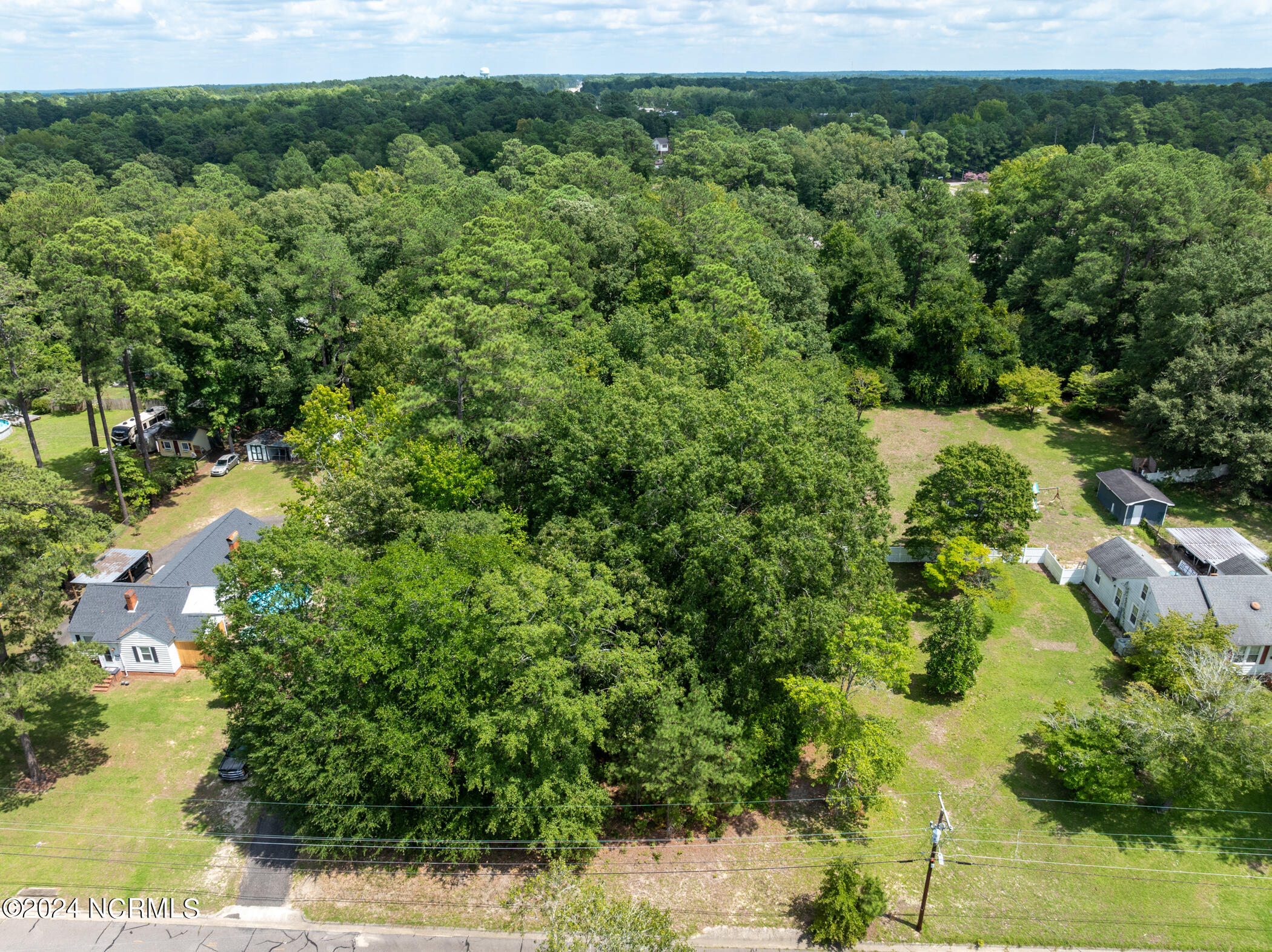 Tbd Deweese Avenue Rockingham, NC 28379 - Photo 4 of 11 DJI_0368-2