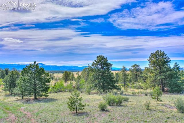 339 Chipper Road Guffey, CO 80820 - Photo 12 of 34 Looking S/E