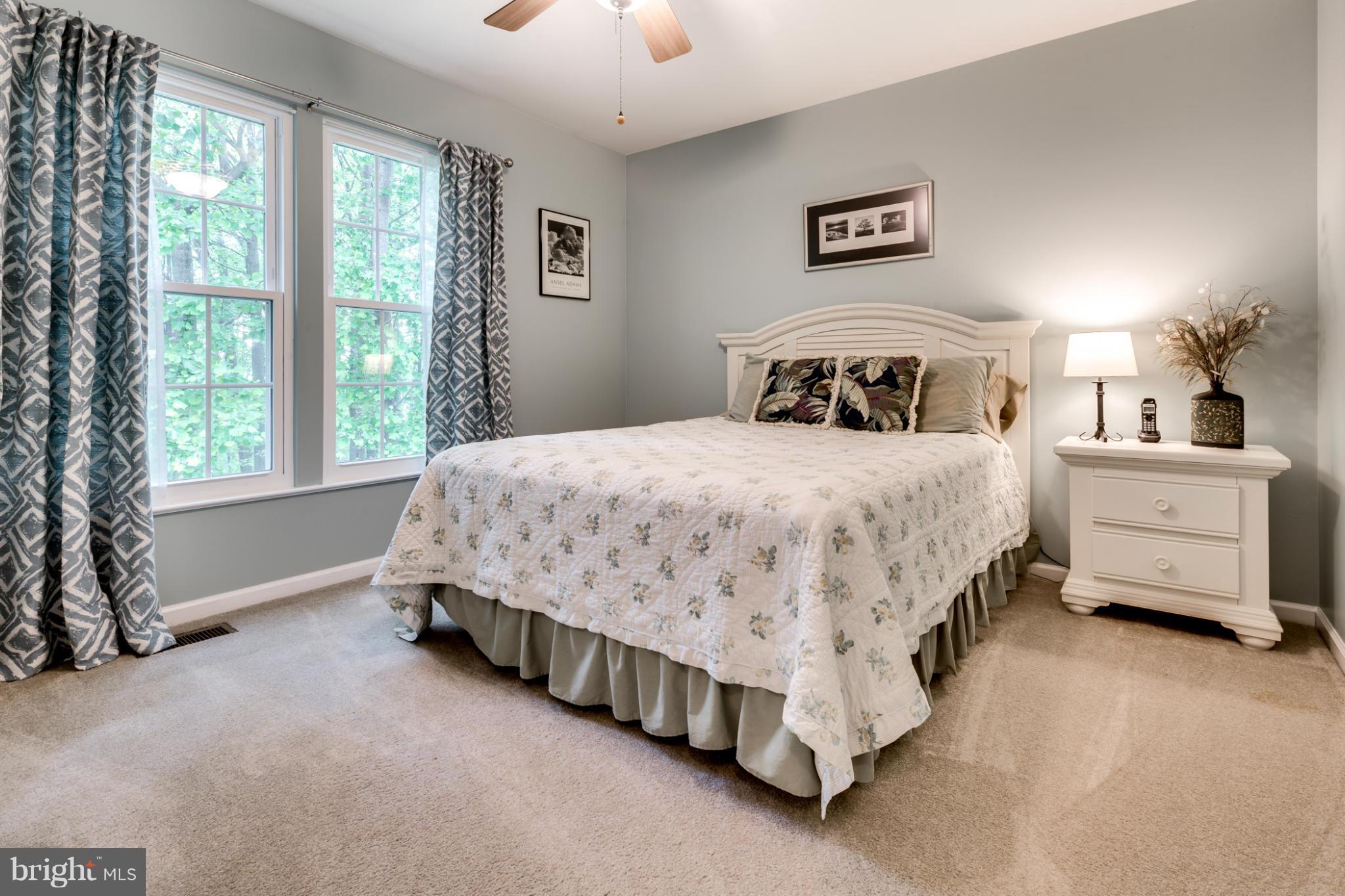 9523 Ridgeview Drive Columbia, MD 21046 - Photo 21 of 30 Owner's Bedroom