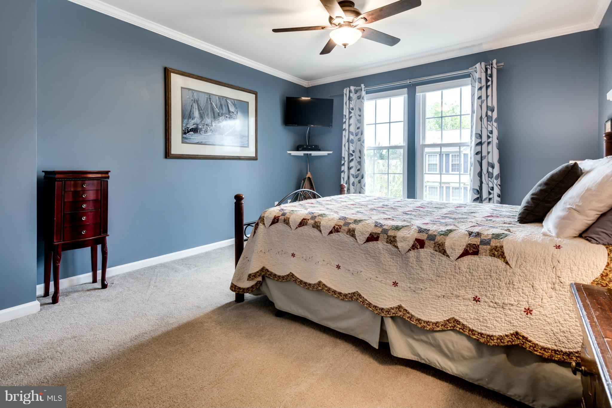 9523 Ridgeview Drive Columbia, MD 21046 - Photo 23 of 30 Owner's Bedroom