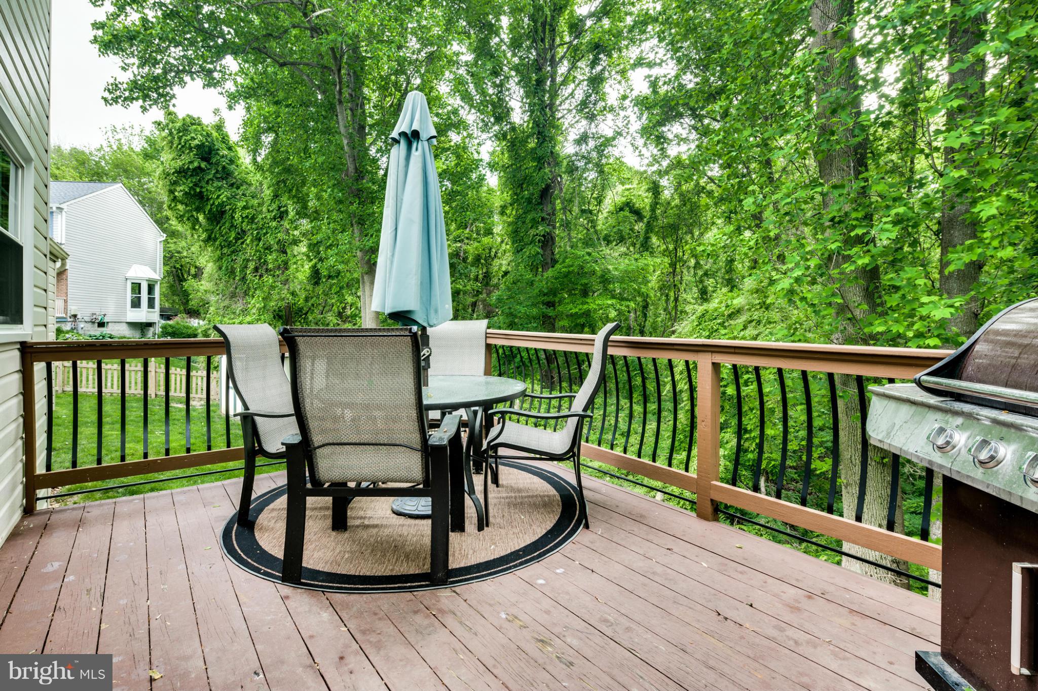 9523 Ridgeview Drive Columbia, MD 21046 - Photo 28 of 30 Spacious Deck