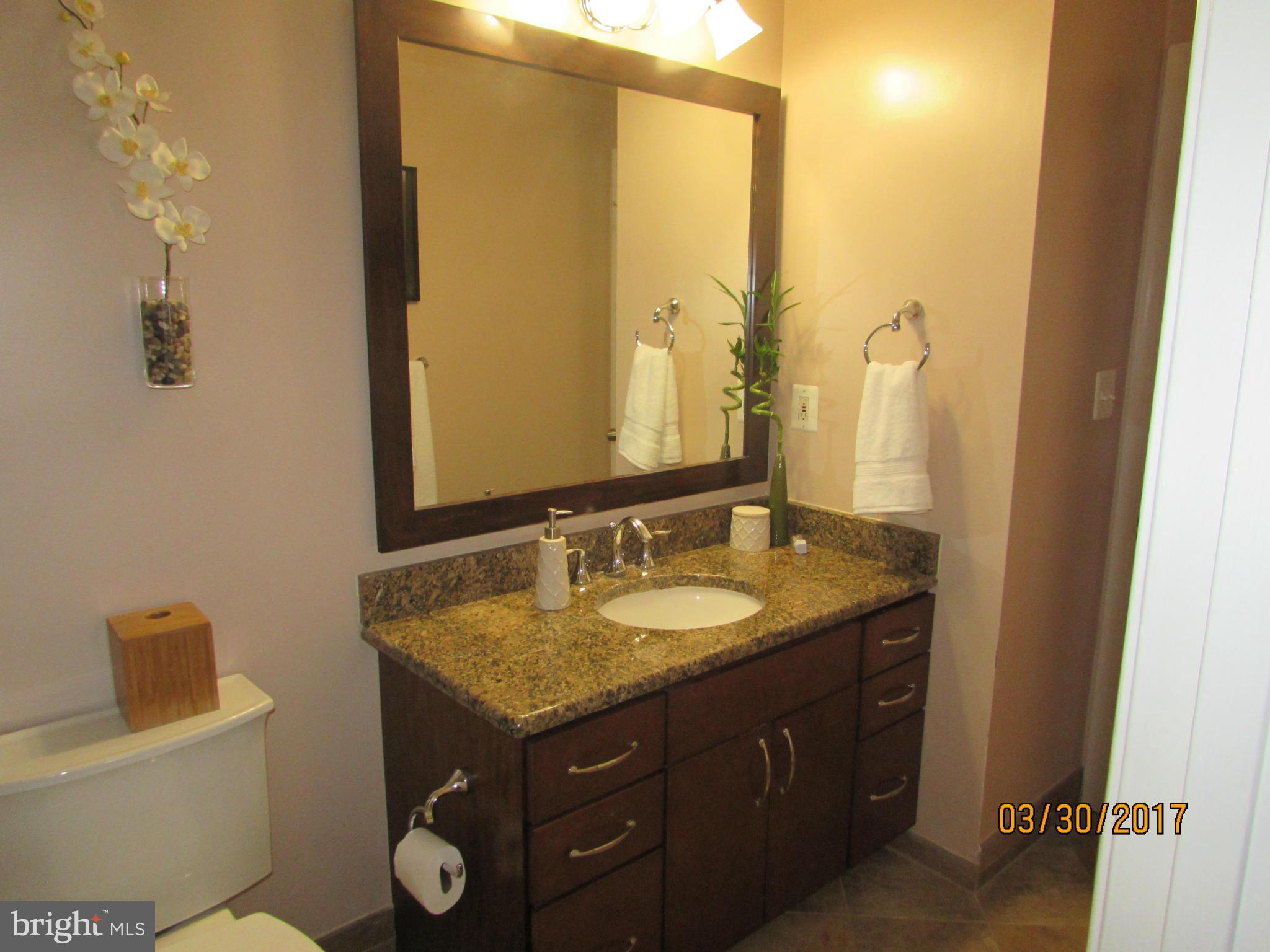 341 Rambling Ridge Court Pasadena, MD 21122 - Photo 17 of 24 Bath (Master)