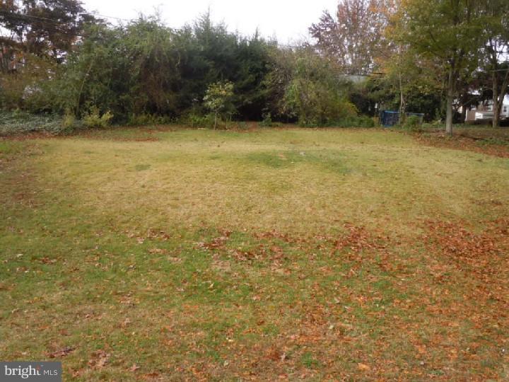 56 Rodmor Road Havertown, PA 19083 - Photo 6 of 21 Back Yard