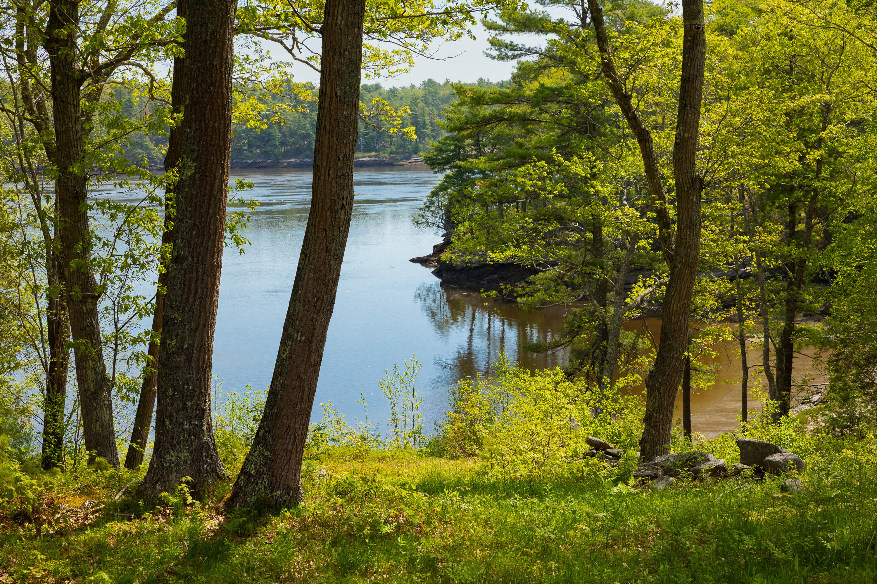 213 Fiddlers Reach Road Phippsburg, ME 04562 - Photo 9 of 45 Morse Cove on the Kennebec