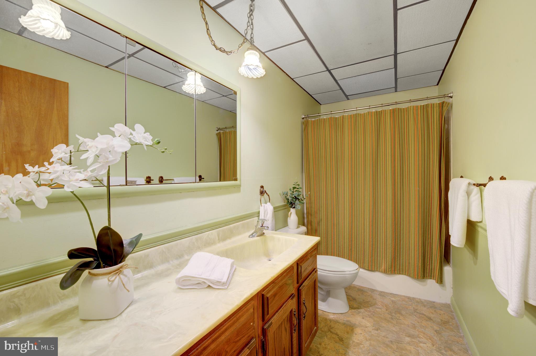 1687 Highpoint Road Coopersburg, PA 18036 - Photo 14 of 50