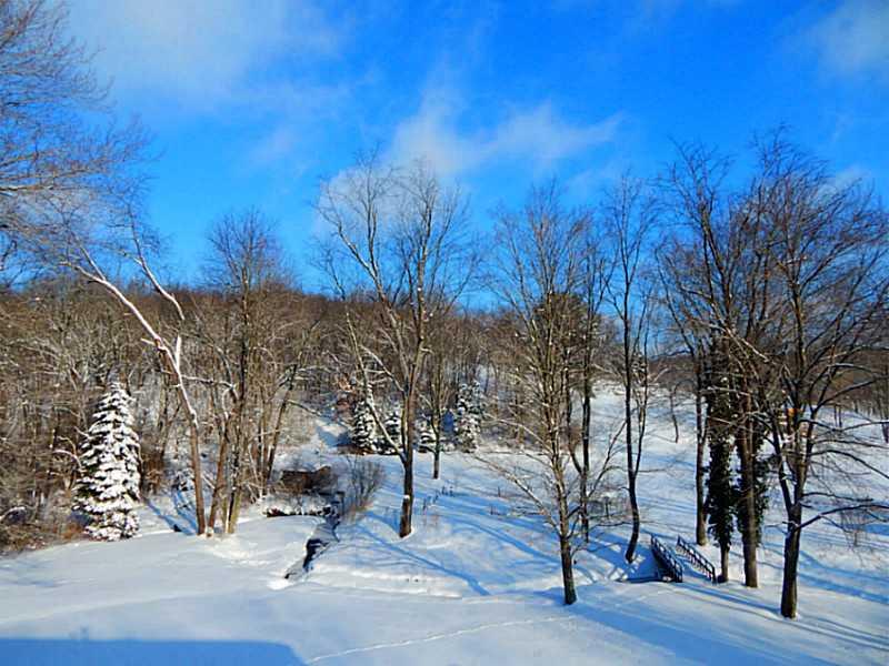 445 Markle Road Apollo, PA 15613 - Photo 24 of 25 Land/Lot.
