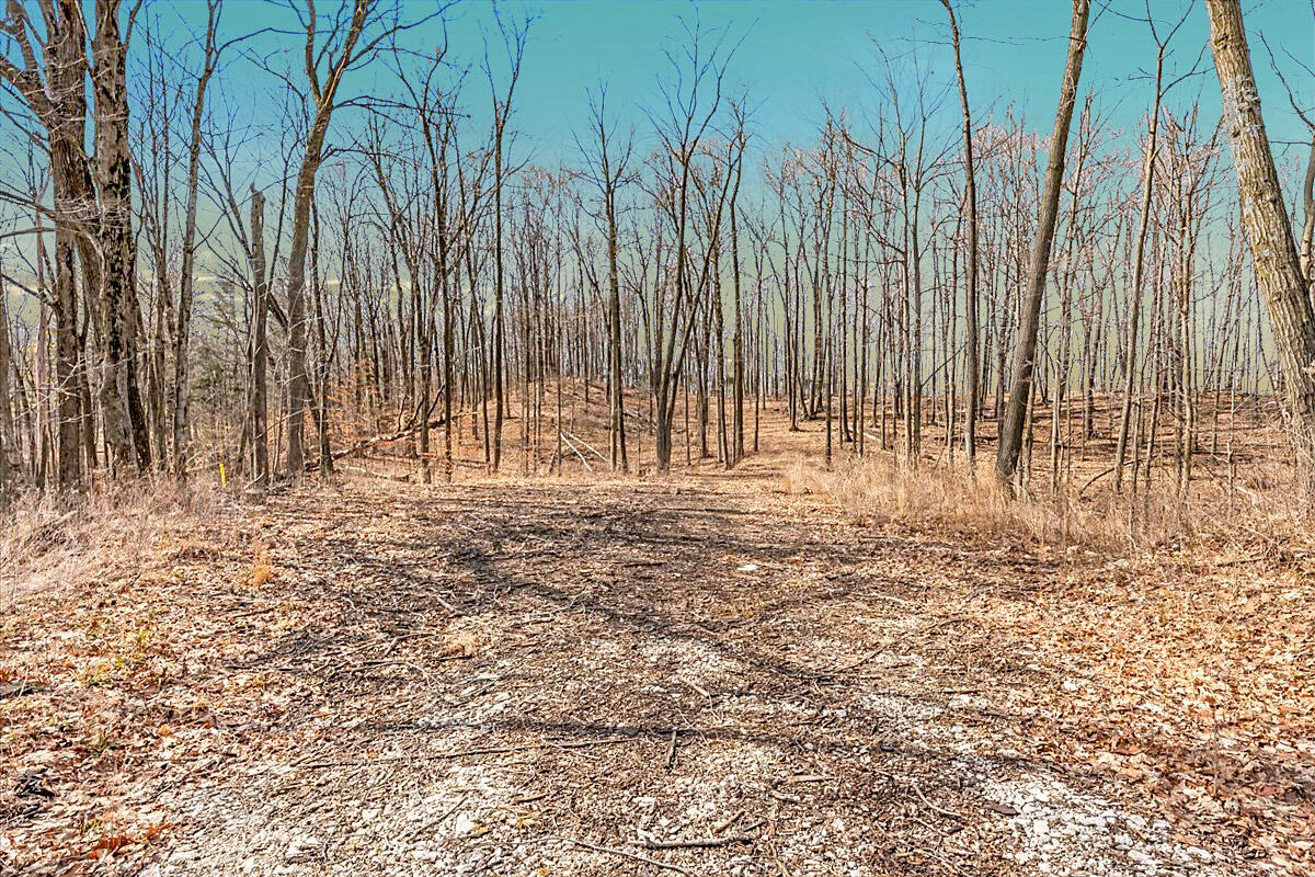 Lt0 Little Elkhart Lake Road Rhine, WI 53020 - Photo 11 of 24 18 Acre Parcel of Land