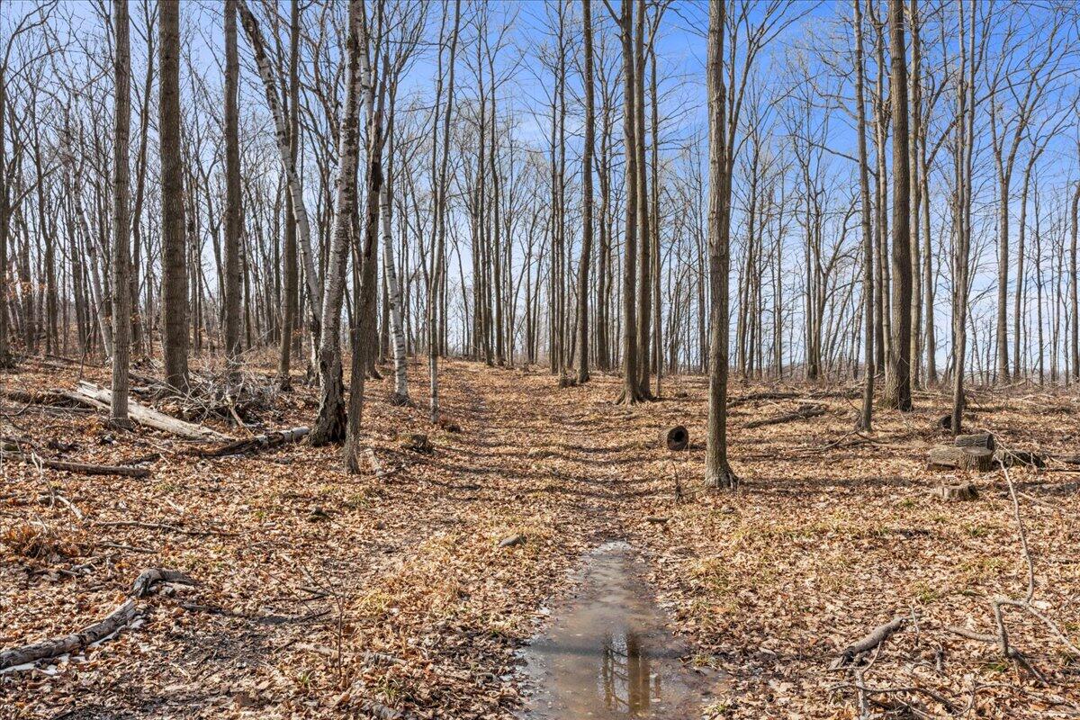 Lt0 Little Elkhart Lake Road Rhine, WI 53020 - Photo 17 of 19 Build Your Dream Home