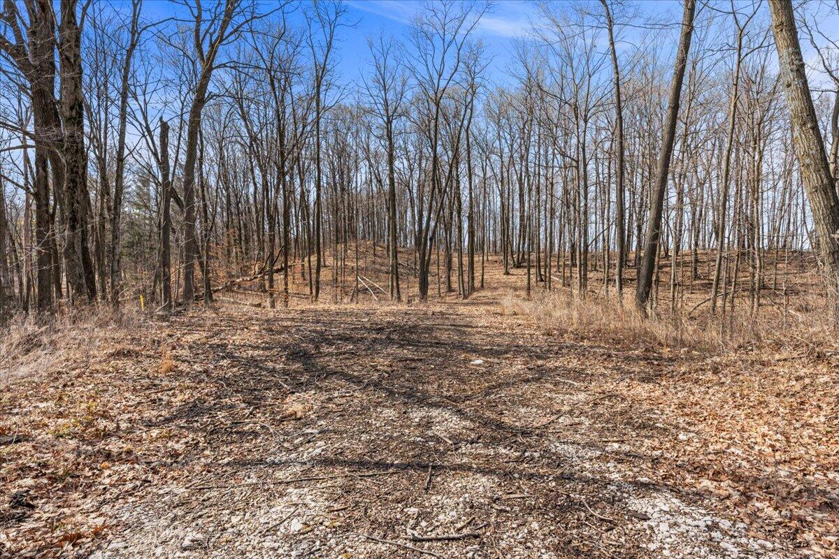 Lt0 Little Elkhart Lake Road Rhine, WI 53020 - Photo 19 of 19 18 Acre Parcel of Land