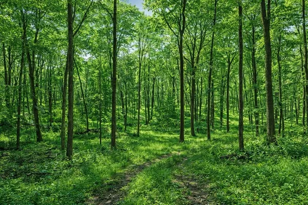 $353,700 | Lt0 Little Elkhart Lake Road, Rhine, WI 53020