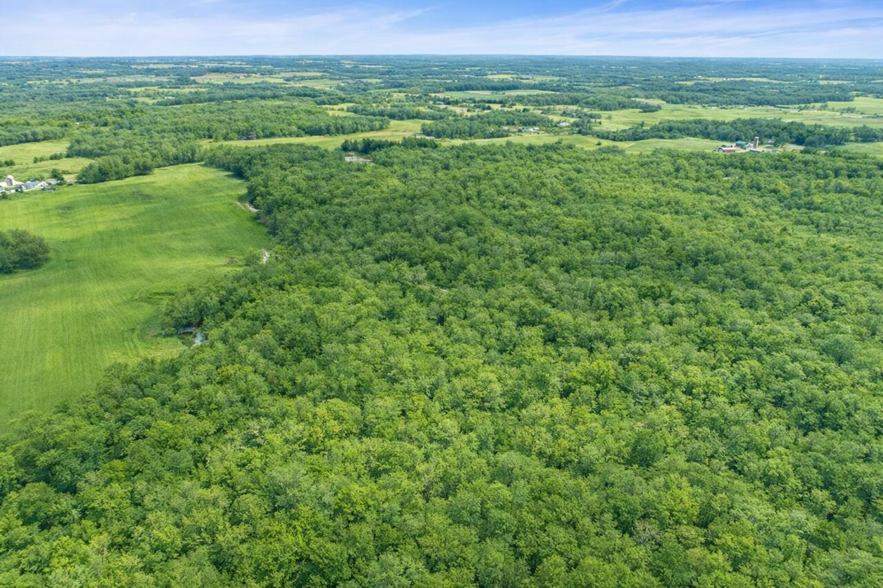 Lt0 Little Elkhart Lake Road Rhine, WI 53020 - Photo 5 of 24 Certain images may contain digital enhancements, virtual staging, or altered elements for marketing purposes. Such images are illustrative only and do not represent exact current conditions of the property. Buyers should rely on their own inspections and due diligence