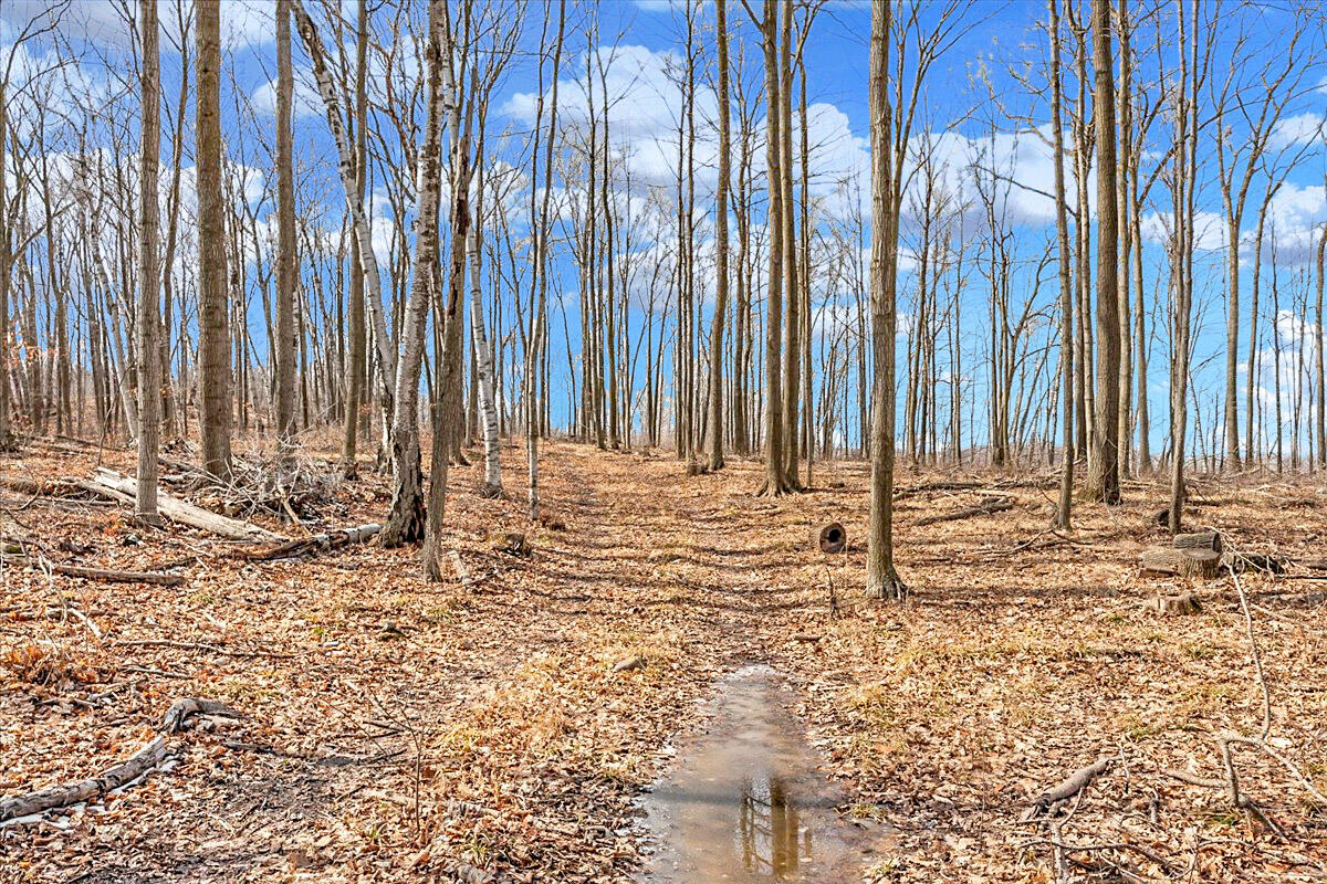 Lt0 Little Elkhart Lake Road Rhine, WI 53020 - Photo 5 of 19 Build Your Dream Home