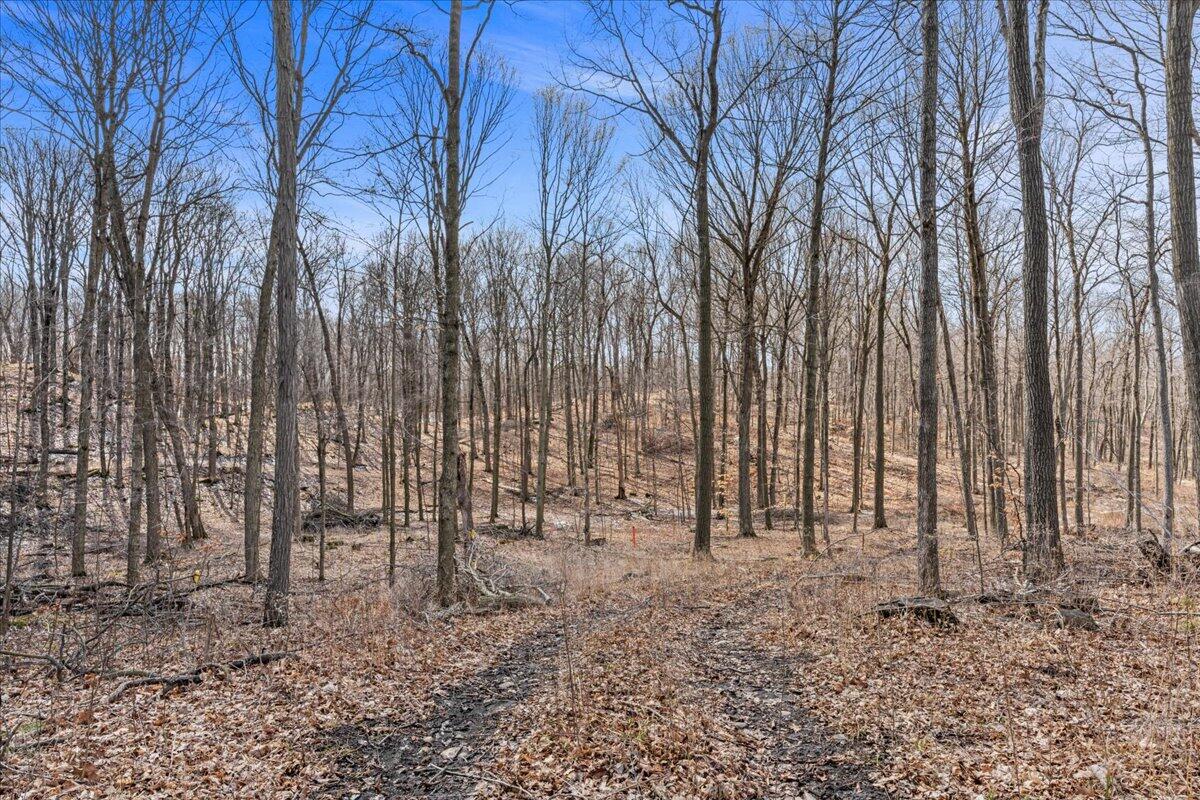 Lt0 Little Elkhart Lake Road Rhine, WI 53020 - Photo 7 of 19 Land View