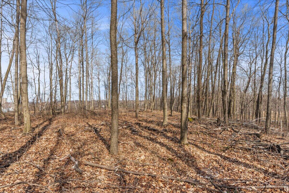 Lt0 Little Elkhart Lake Road Rhine, WI 53020 - Photo 8 of 19 Land is Well Maintained