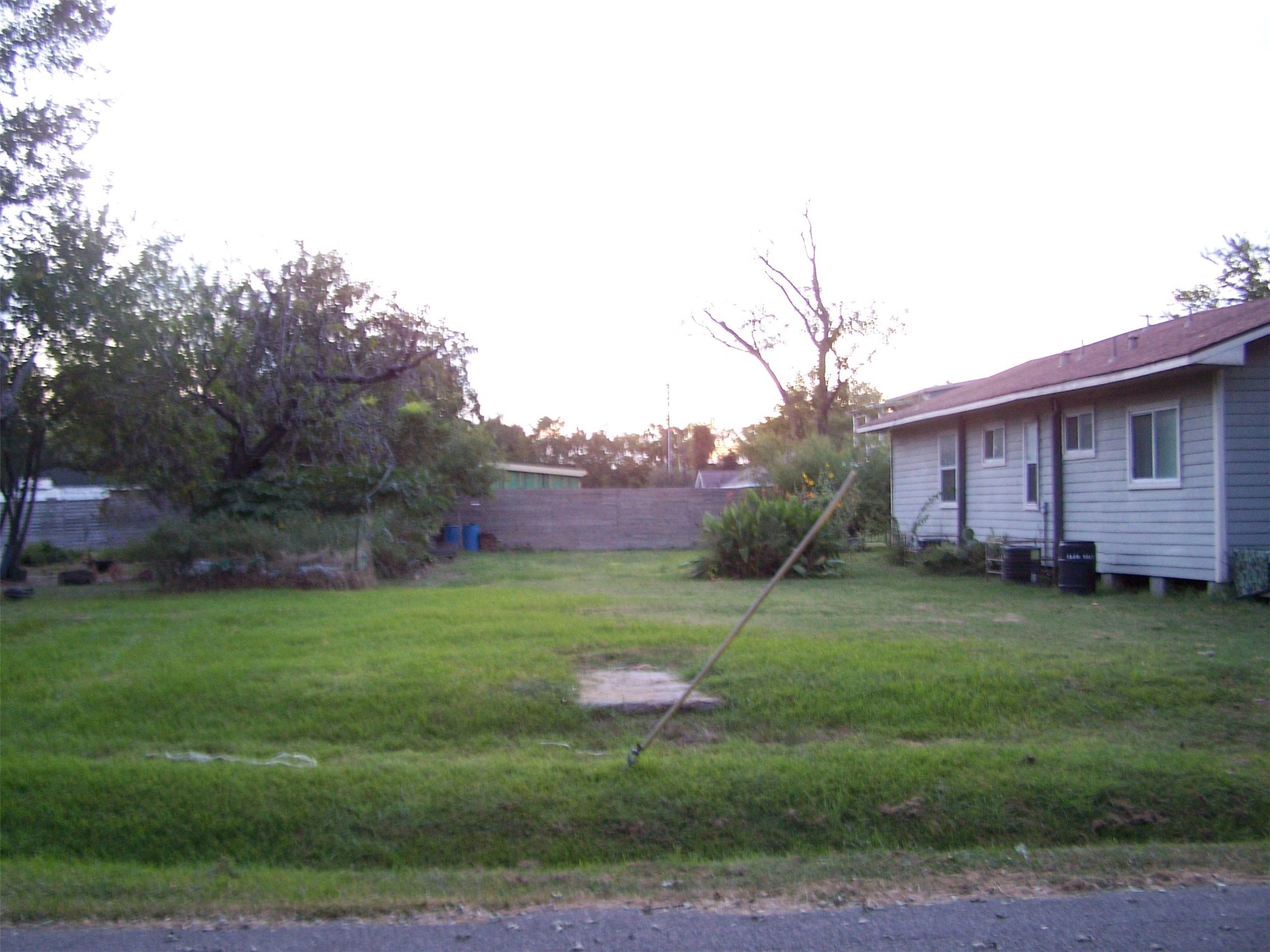 2403 Davis Street Houston, TX 77026 - Photo 2 of 5 a view of a backyard with plants and large trees