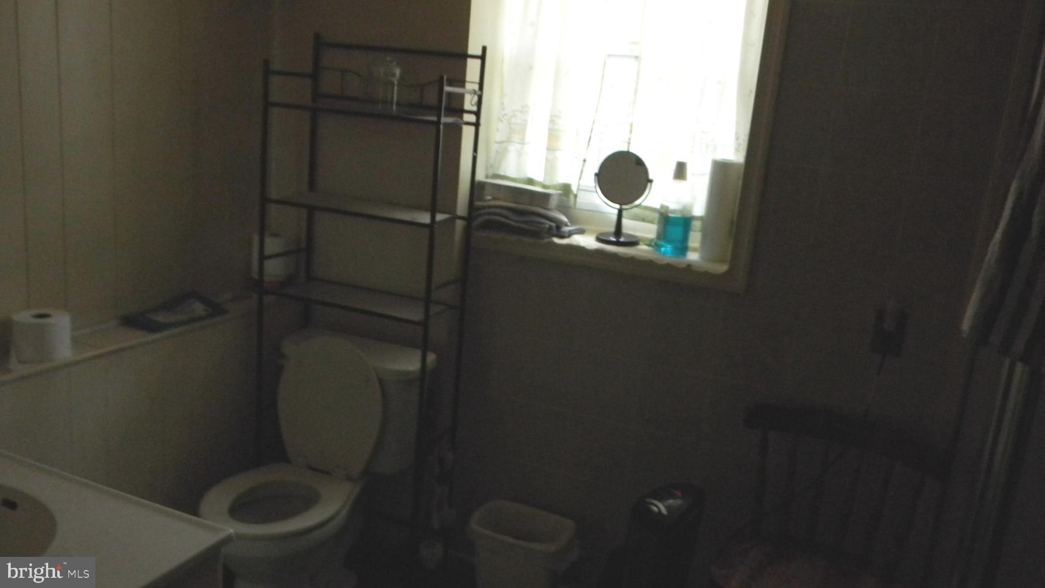6688 Brocks Gap Road Broadway, VA 22815 - Photo 69 of 81 a bathroom with a toilet and a shower