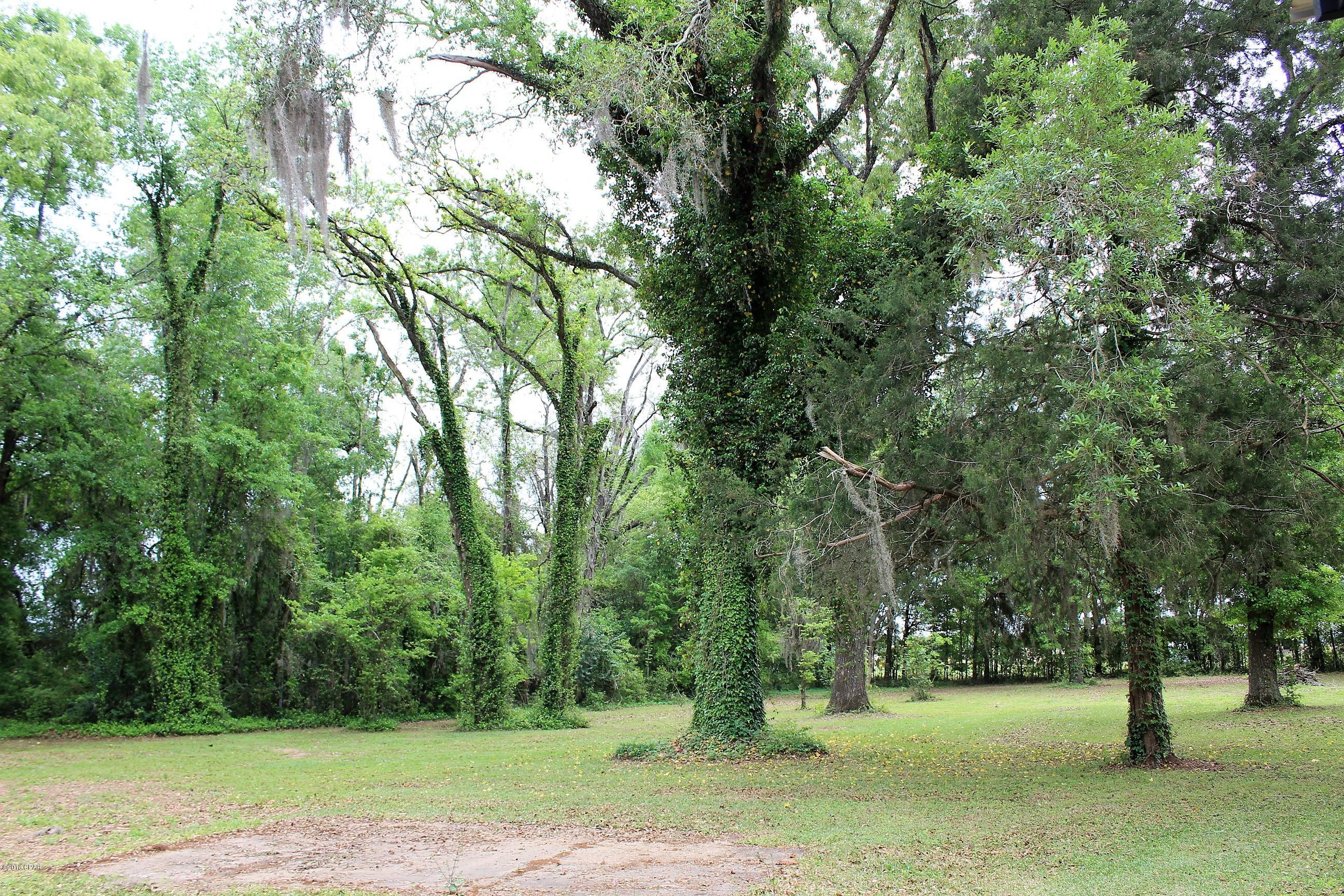 4264 Sweet Pond Road Sneads, FL 32460 - Photo 7 of 22 Gallery Image 7