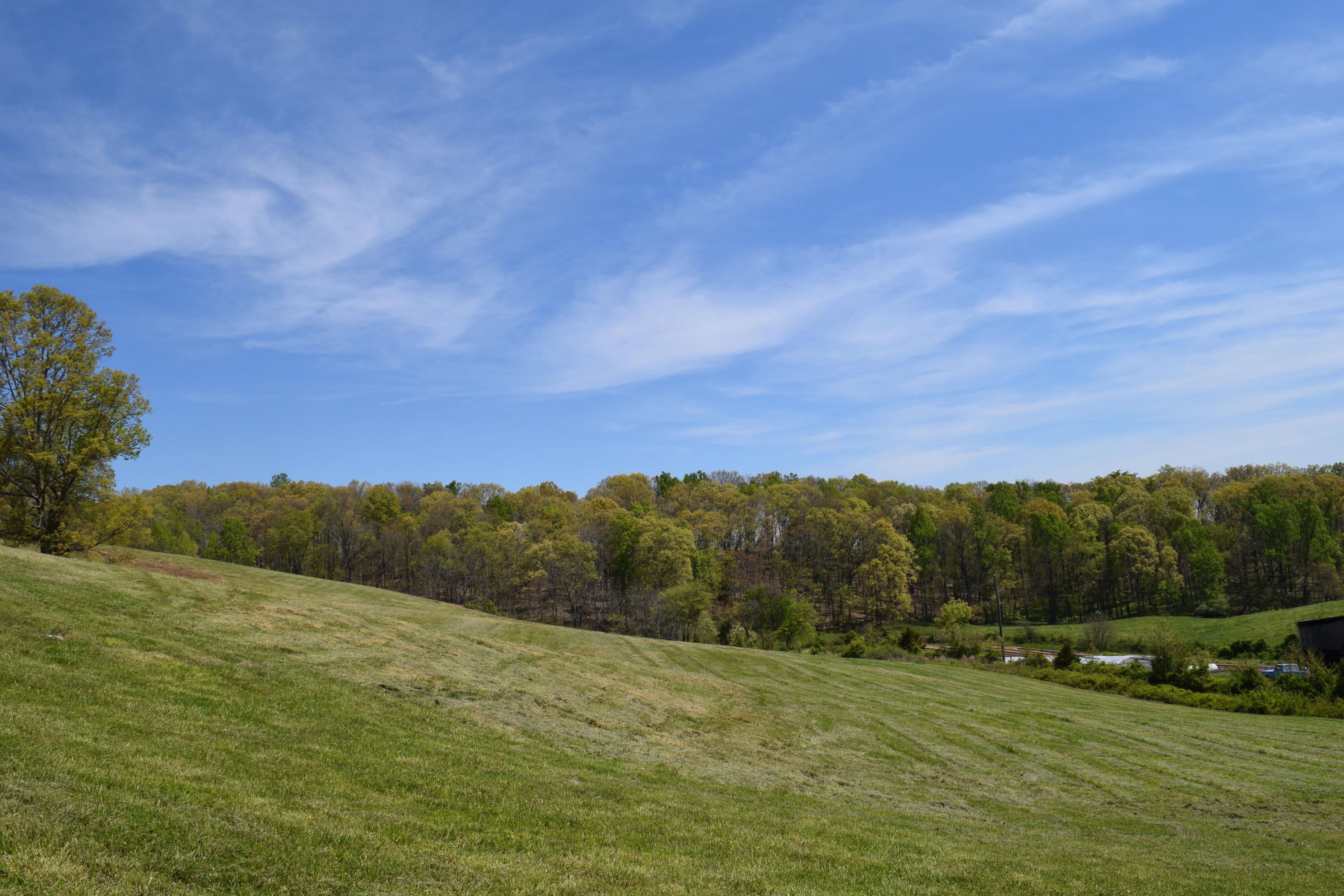 815 Harbin Road Rutledge, TN 37861 - Photo 1 of 25 815 Harbin Road Rutledge TN 37861 (1)